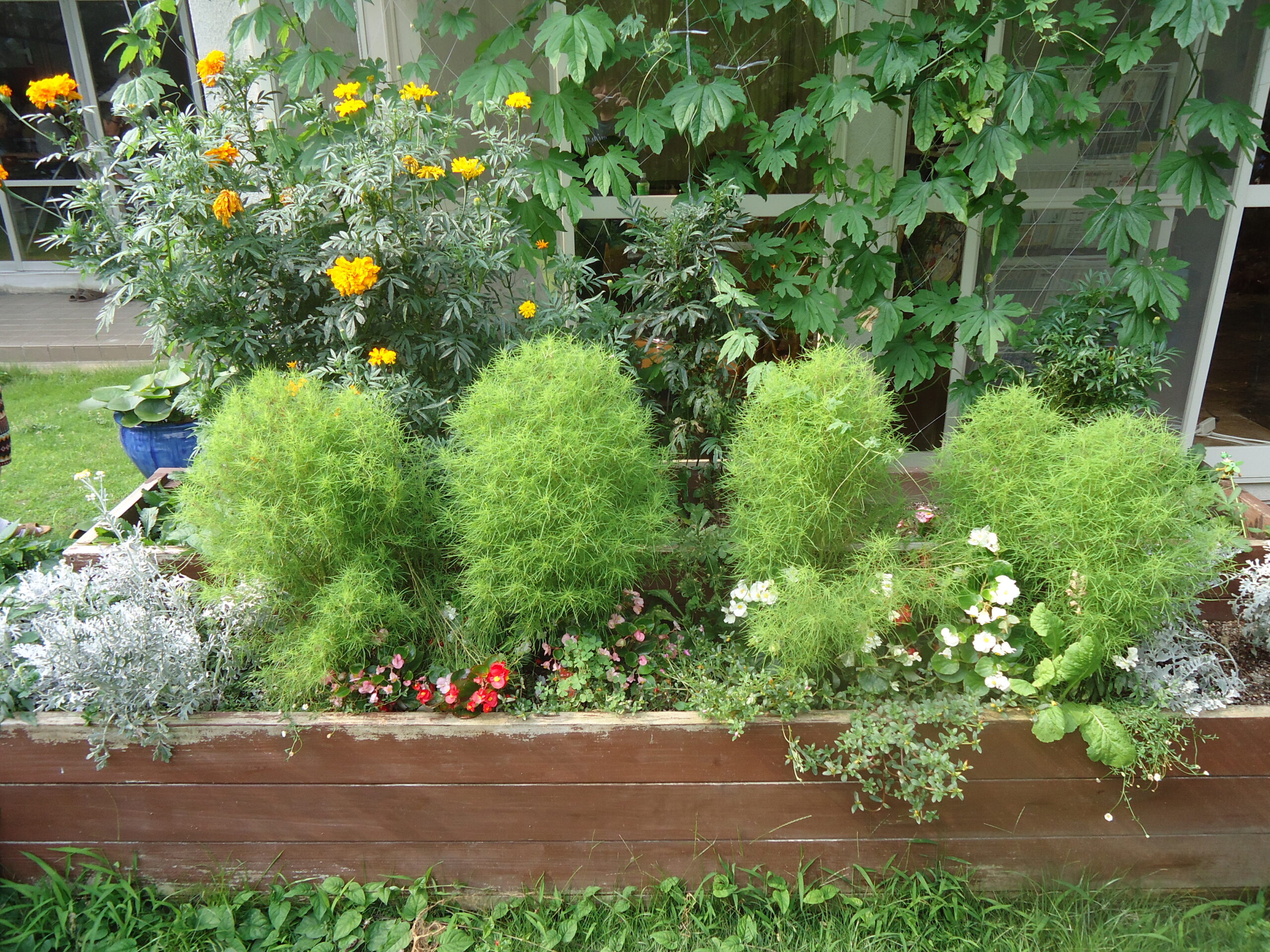 福祉施設の花壇の画像です