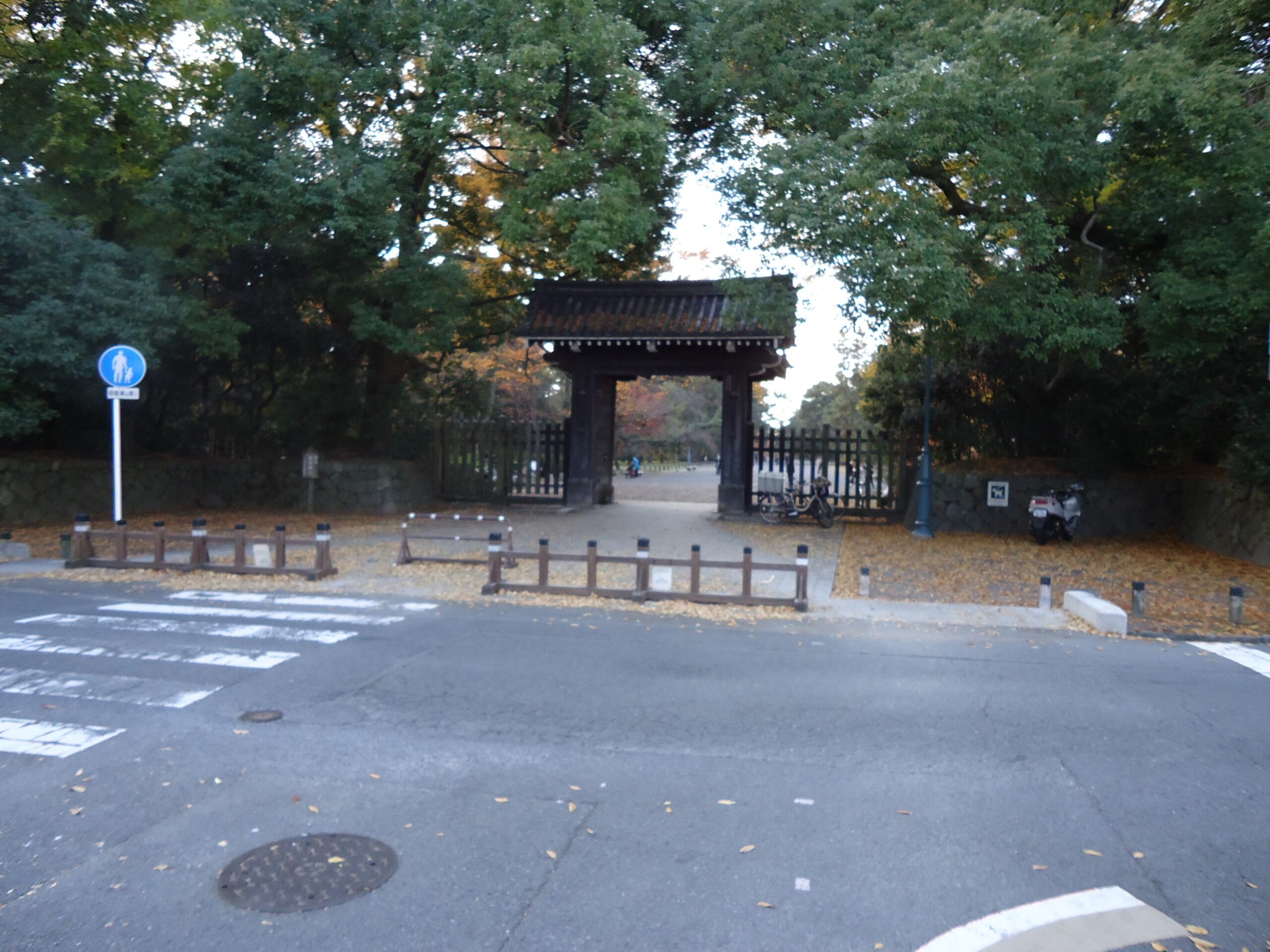 京都御所の写真です